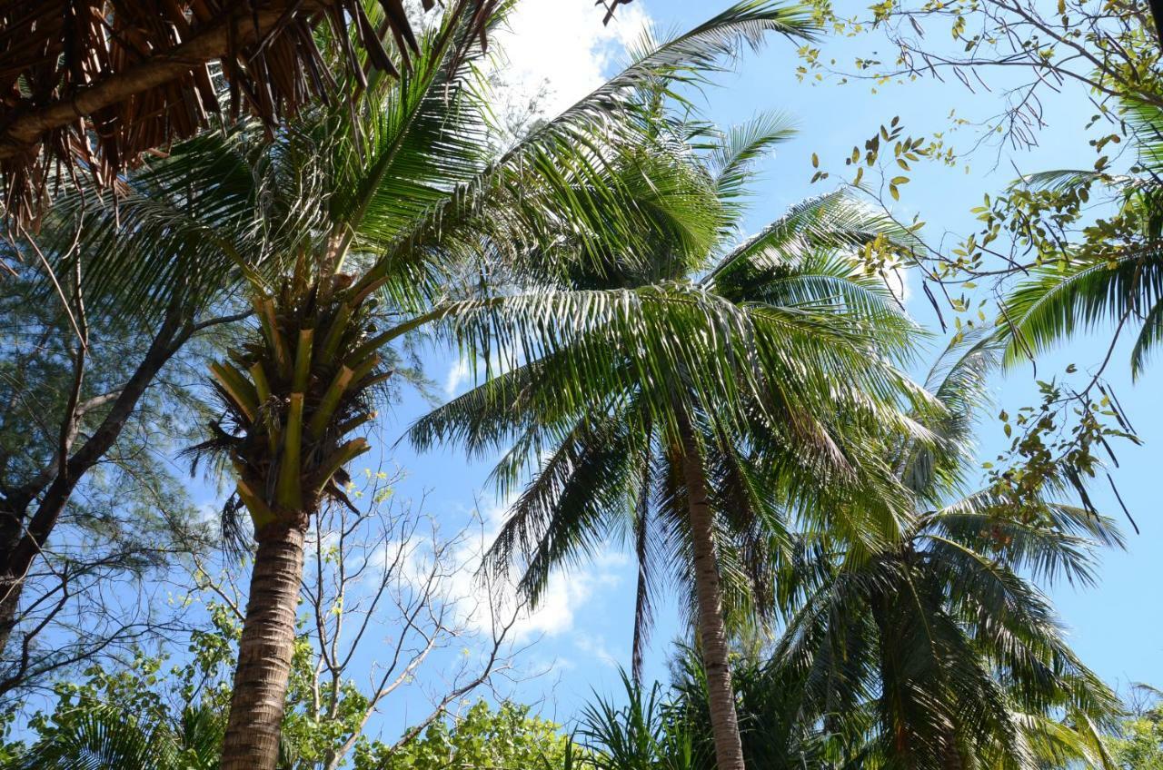 阁帕延岛 Reggae Island Private Island酒店 外观 照片